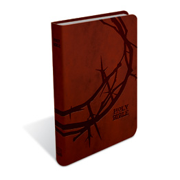 Bibles